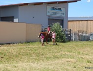 Bullenbank-open-2017-124.JPG