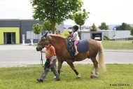 02_Bullenbank_open_2012_06_17_0323.JPG