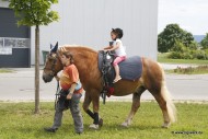 02_Bullenbank_open_2012_06_17_0324.JPG