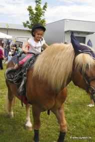02_Bullenbank_open_2012_06_17_0321.JPG