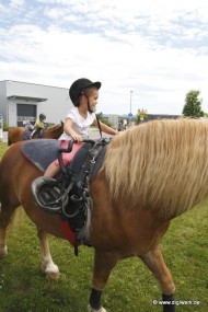02_Bullenbank_open_2012_06_17_0322.JPG