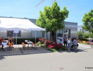 Bullenbank-open-2017-122.JPG