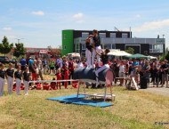 Bullenbank-open-2017-41.JPG